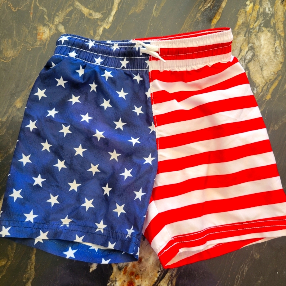 Toddler Boys Swim Trunks - 3T